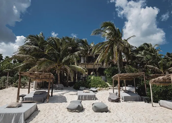 Nest Tulum