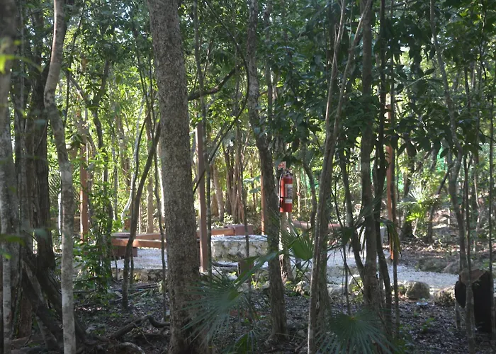 Glamping Mayan Glam