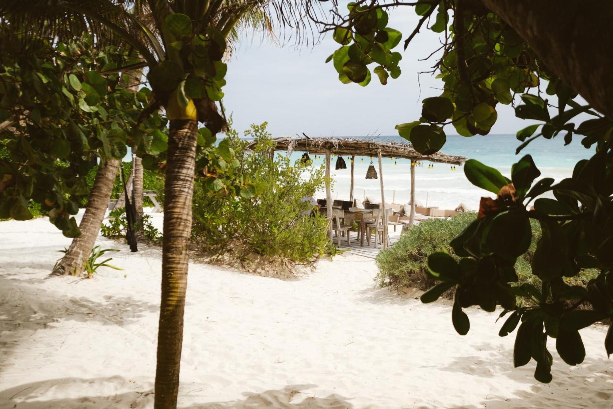 Casa Violeta Hotel Tulum