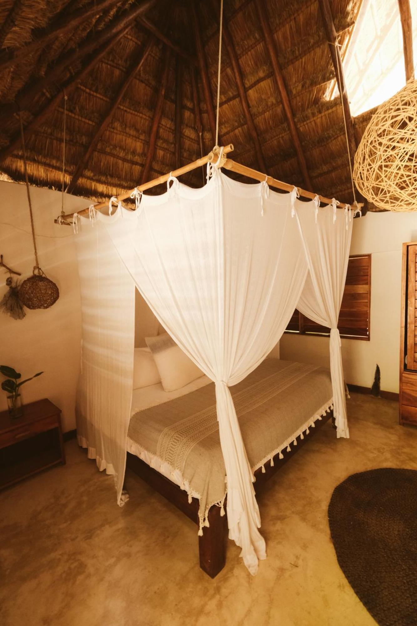 Casa Violeta 3*