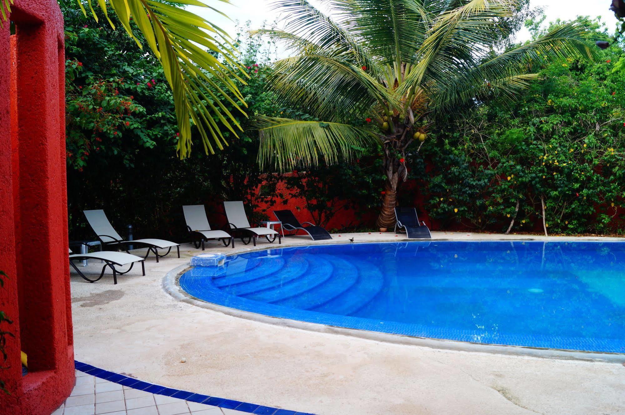 Bed & Breakfast Casa Don Diego 3*