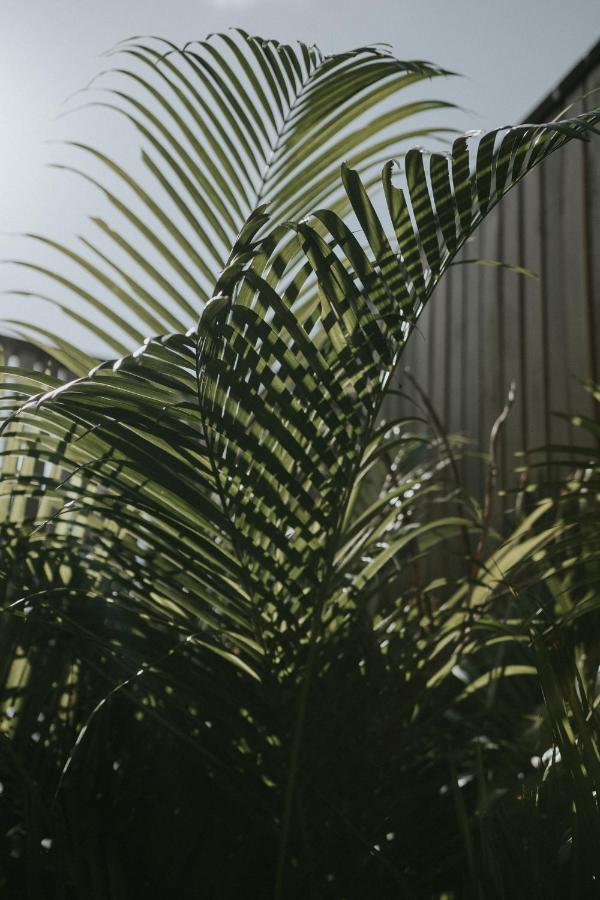 Mudra Hotel Tulum
