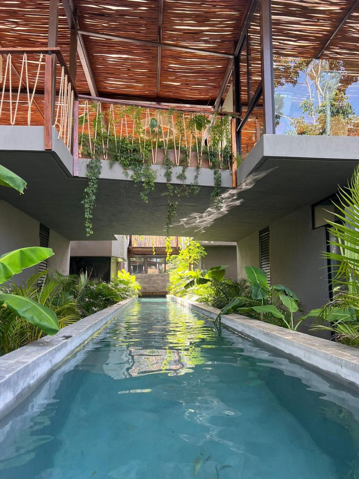 Jungle Luxury Romantic Club Private Pool *