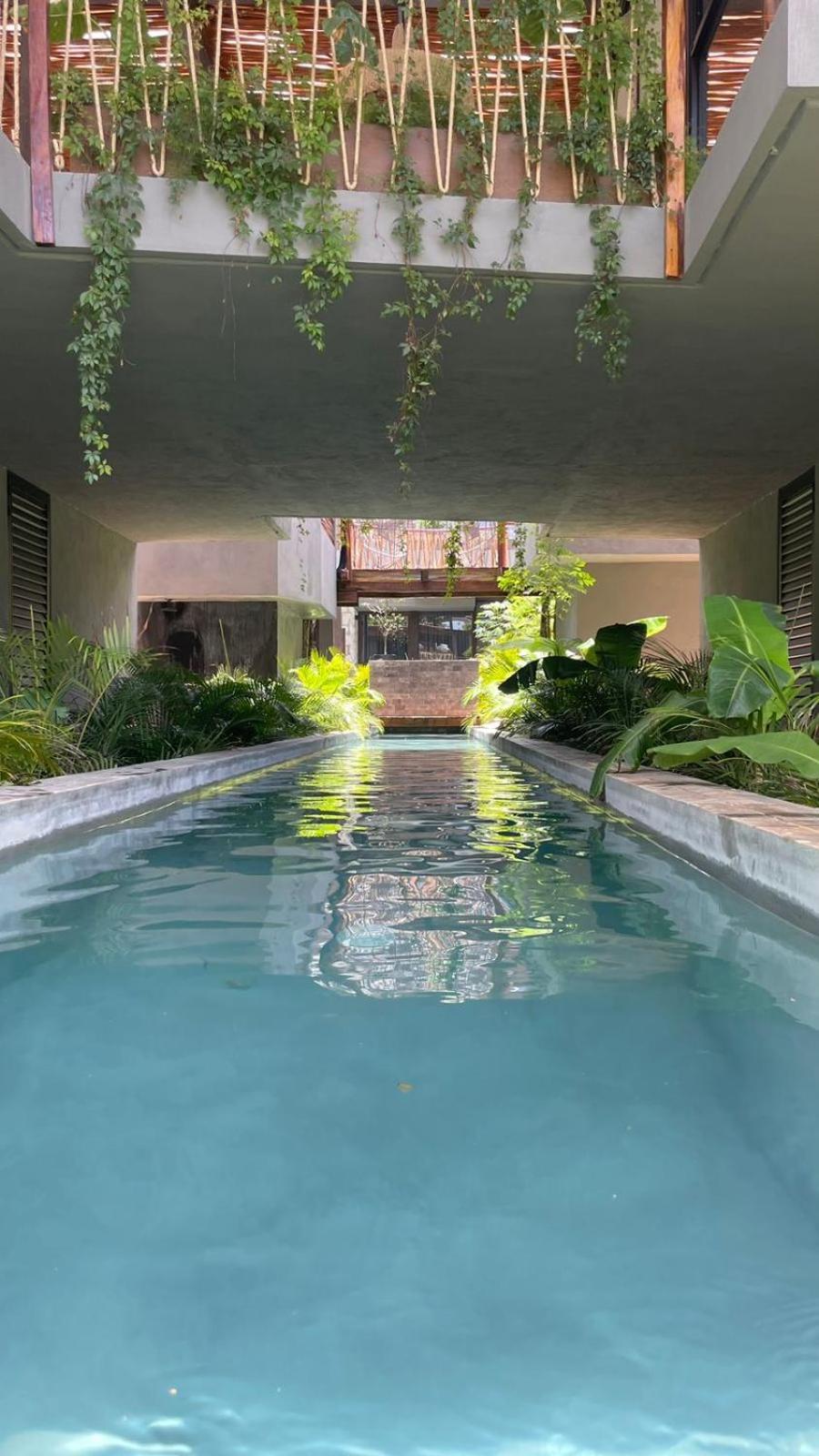 Jungle Luxury Romantic Club Private Pool Apartamento *