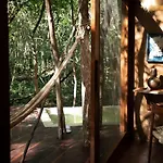 OJO DE ÁRBOL, boutique cabin in the jungle. Relax