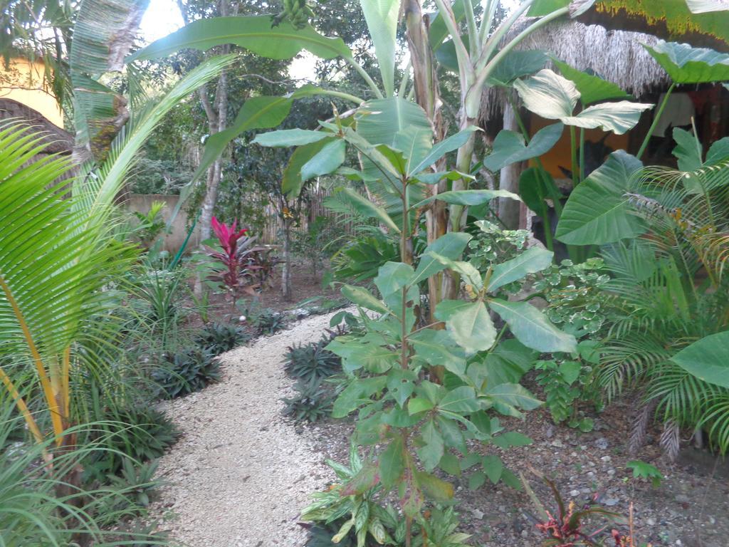 Bed & Breakfast Casa Mango Tulum