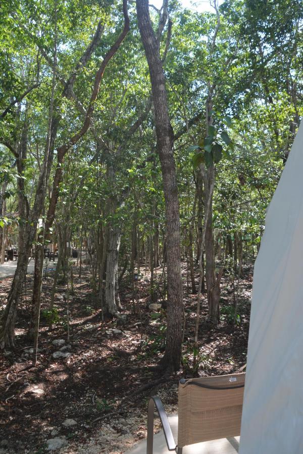 Glamping Mayan Glam