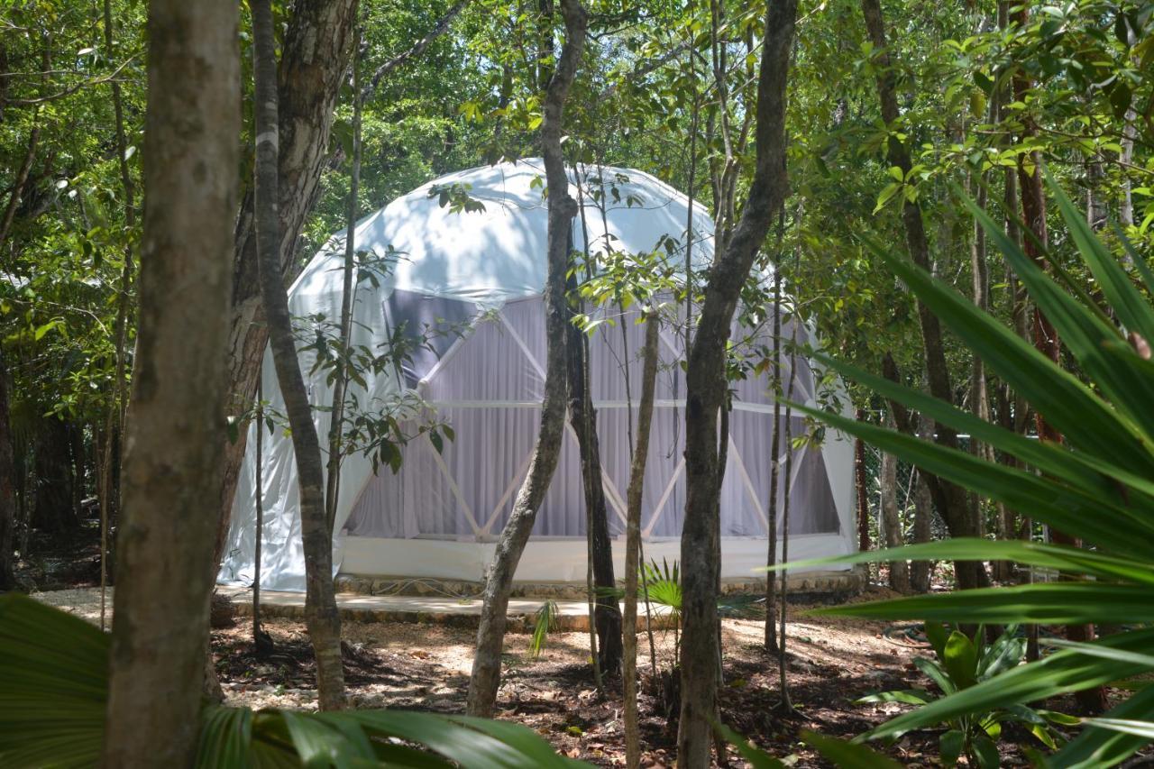Glamping Mayan Glam *