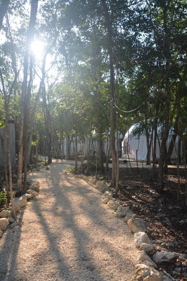 Campo de lujo Glamping Mayan Glam