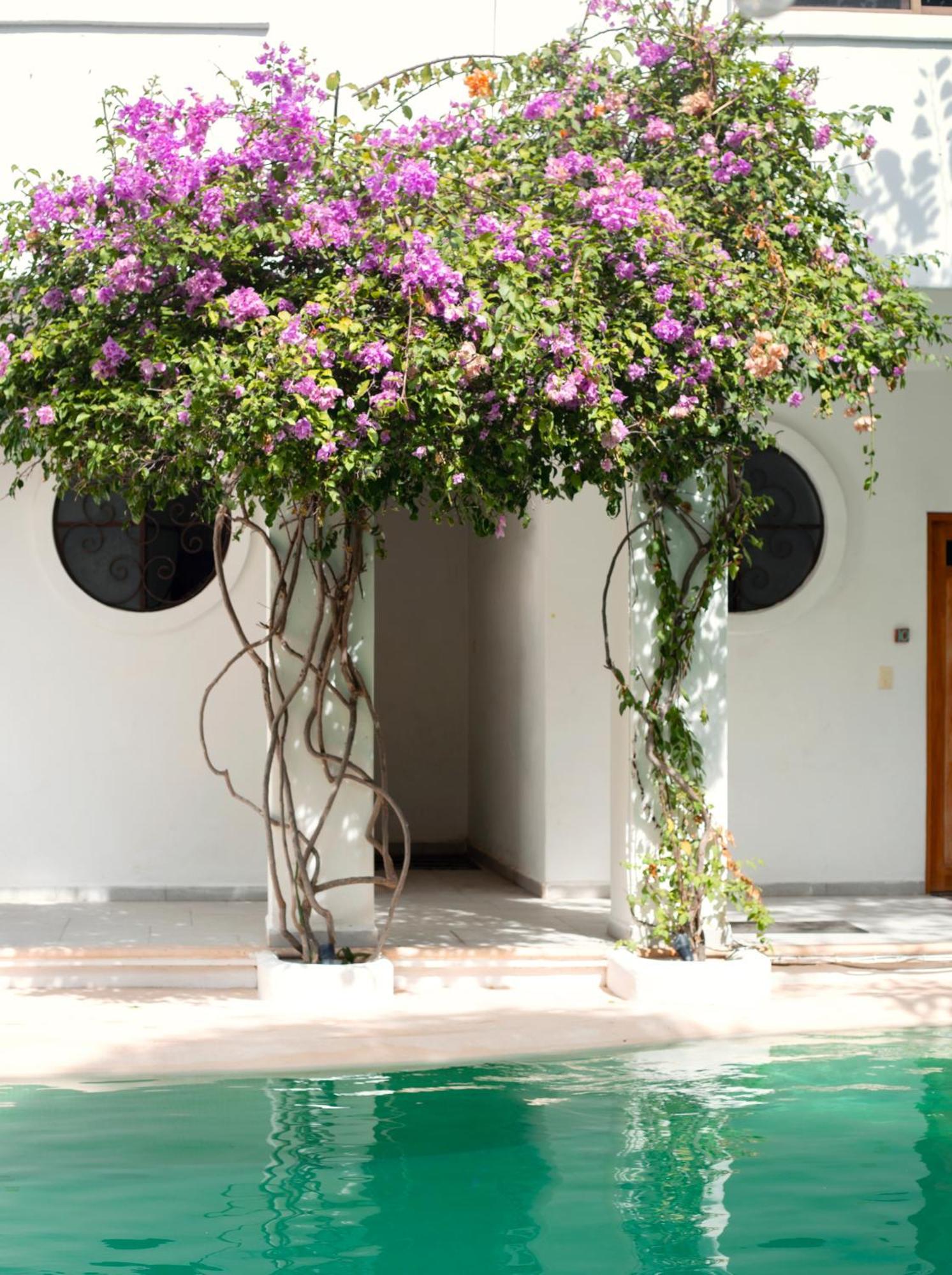 Apartamento Sonido Del Mar Boutique&yoga Loft *
