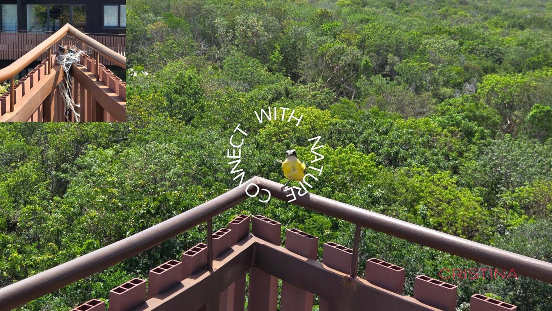 Apartment With Private Jacuzzi, Rooftop Pools & Free Club Tulum