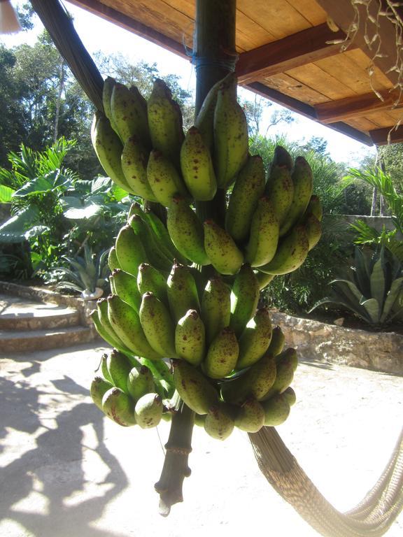 Bed & Breakfast Casa Mango