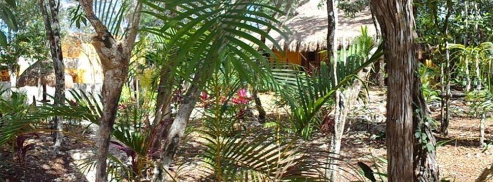 Casa Mango Bed & Breakfast