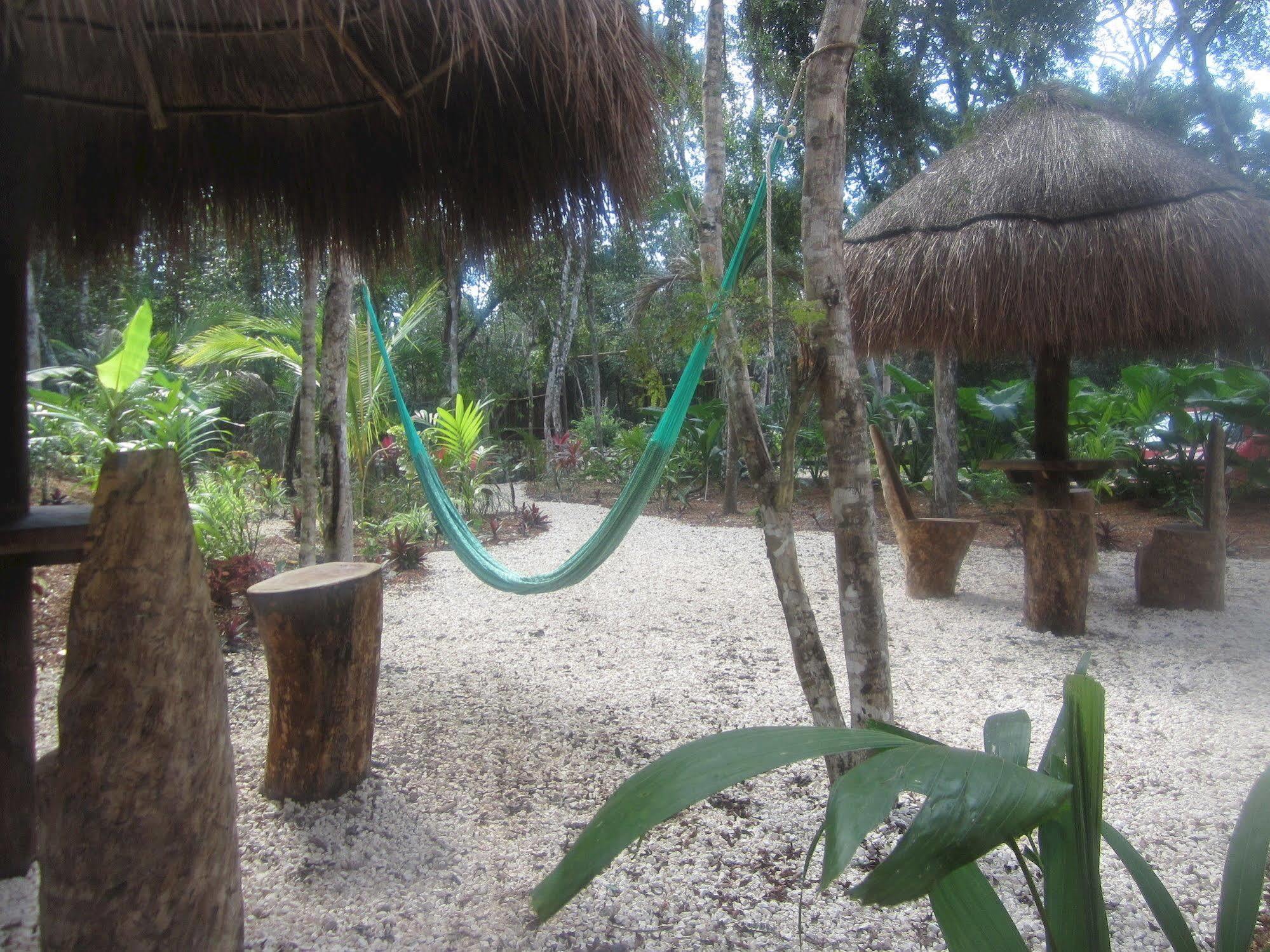 Bed & Breakfast Casa Mango
