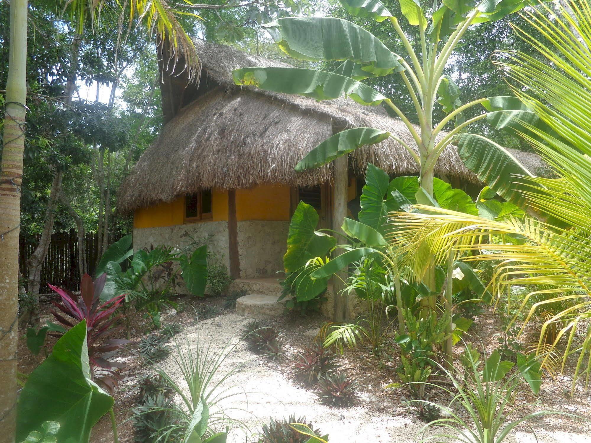 Casa Mango Bed & Breakfast 2*