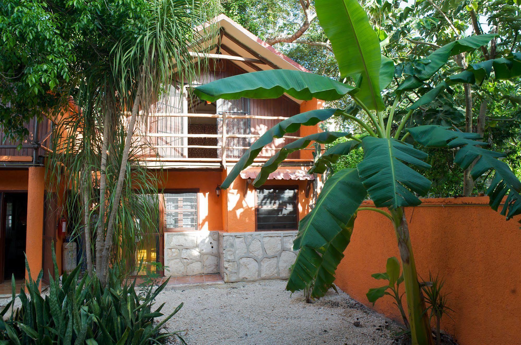 Casa Mango Bed & Breakfast Tulum