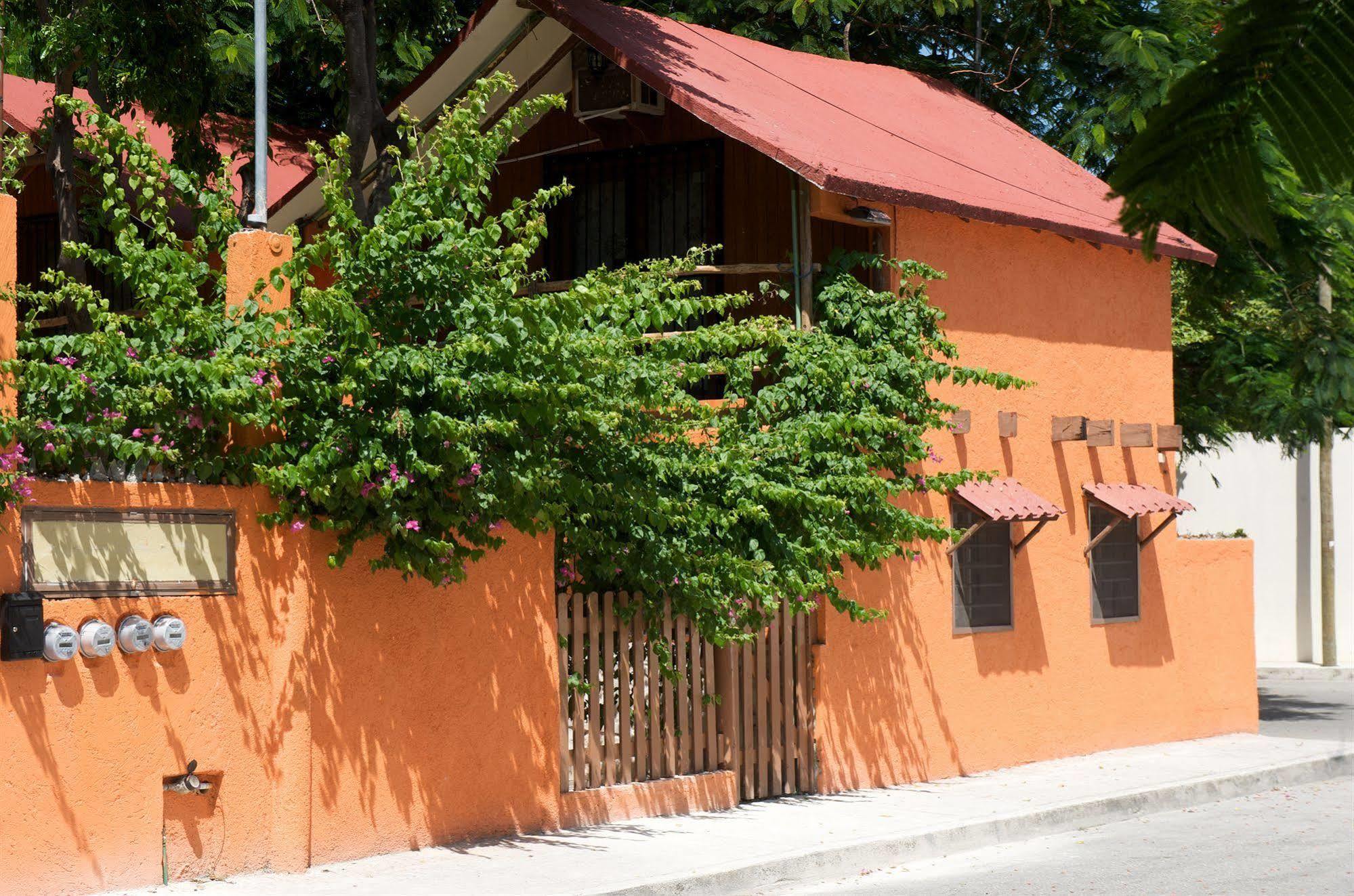 Casa Mango Bed & Breakfast