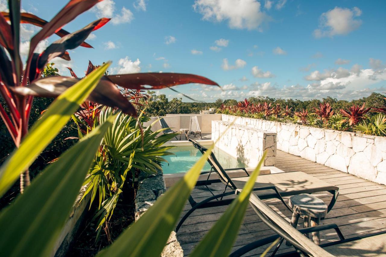 Vida Jungle 1 With Special Fee To Access Bardo Apartment *