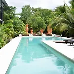 Barronegro (Adults Only)