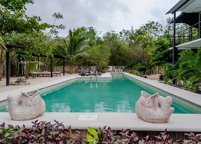 Barronegro (Adults Only)