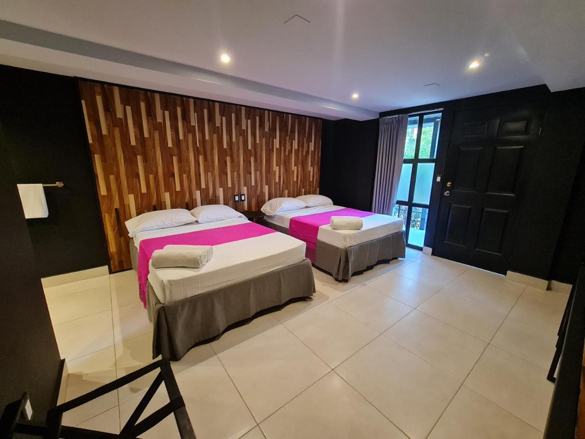 Barronegro (adults Only) 3*