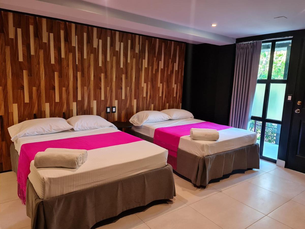 Barronegro (adults Only)