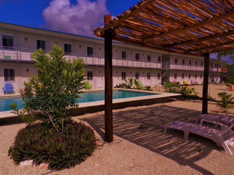 Barronegro (adults Only)
