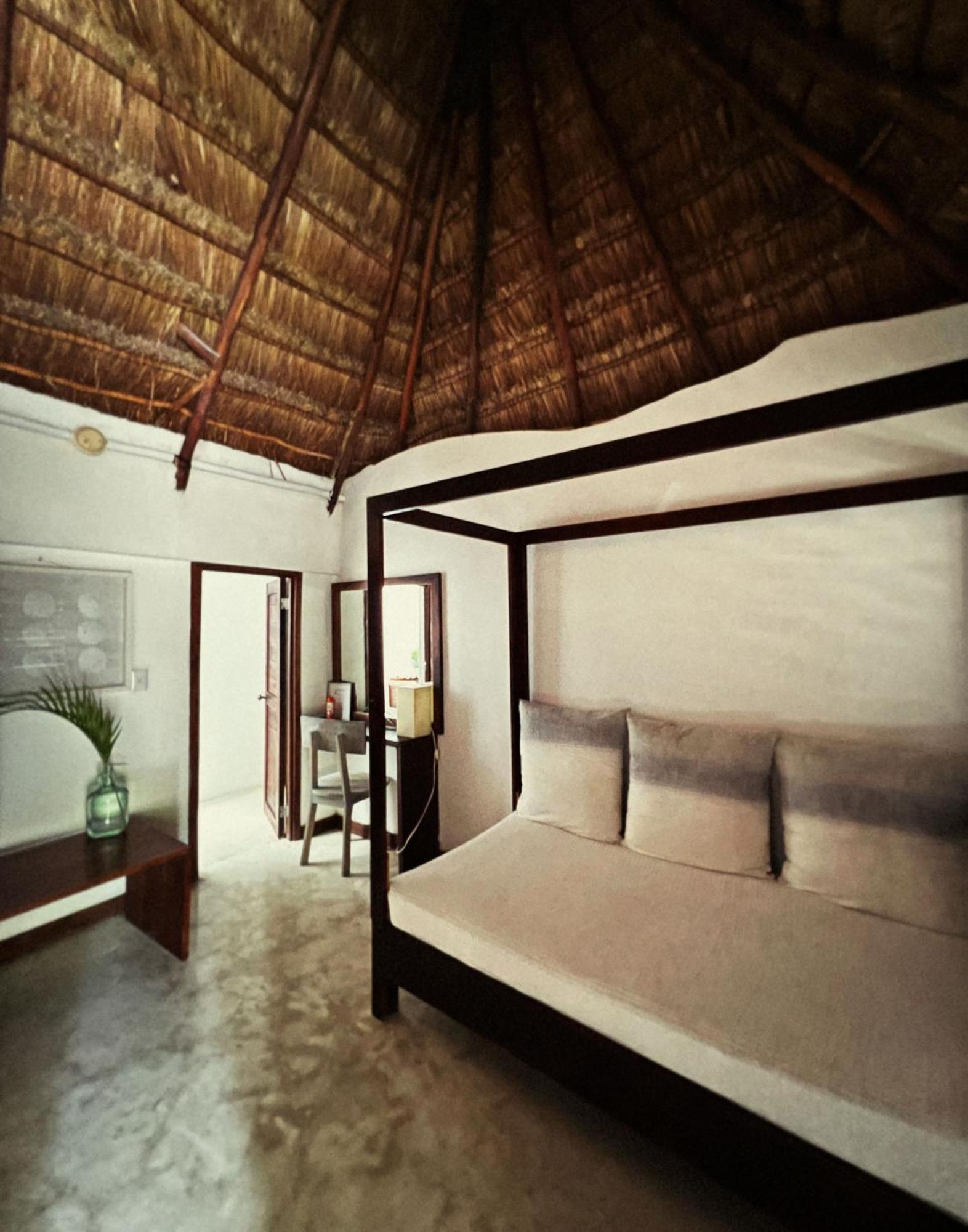 Casa Violeta 3*
