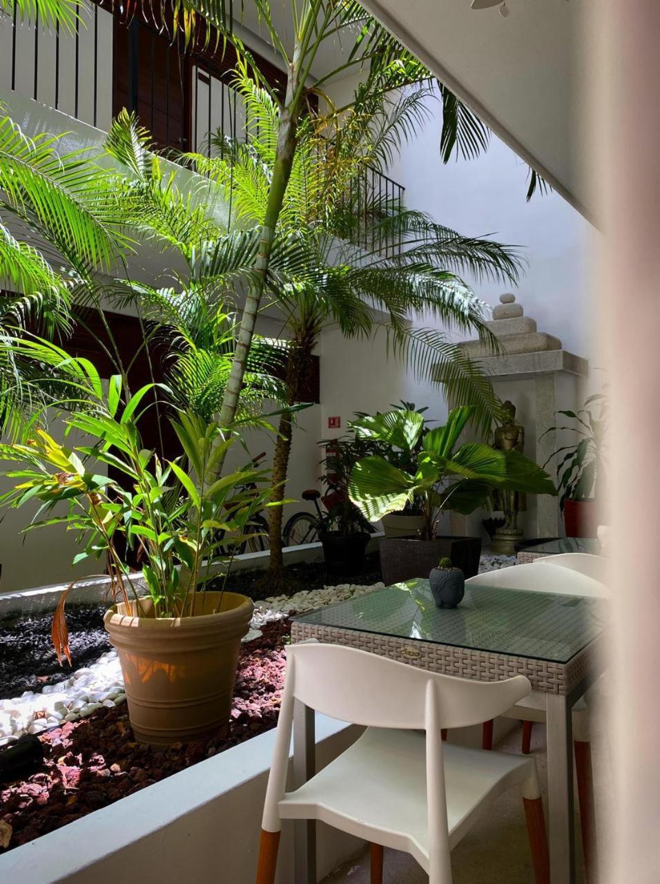 Zendero Hotel Tulum