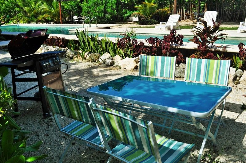 Barronegro (adults Only)
