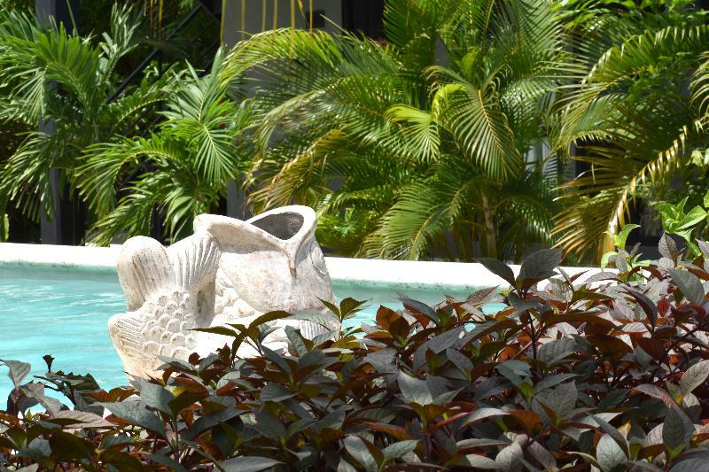 Barronegro (adults Only) 3*