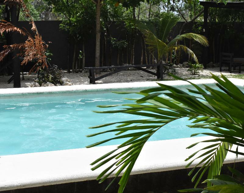 Barronegro (adults Only)