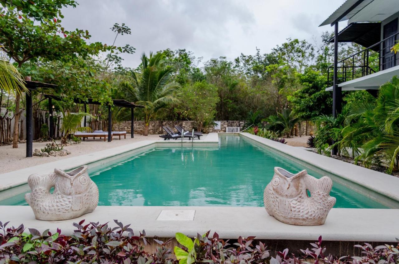 Barronegro (adults Only) 3*